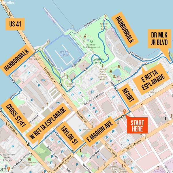 Map identifying walking route from Celtic Ray Public House